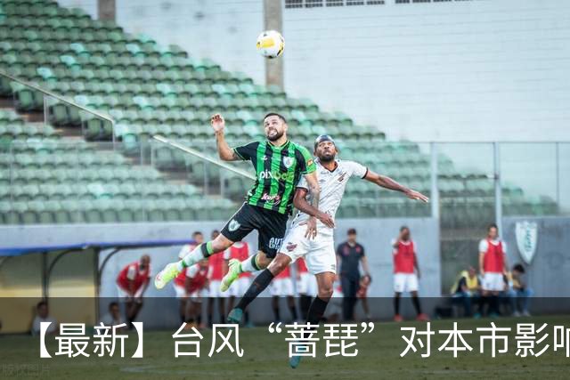 【最新】台风“蔷琵”对本市影响延长！今晚进入风雨最强时段→