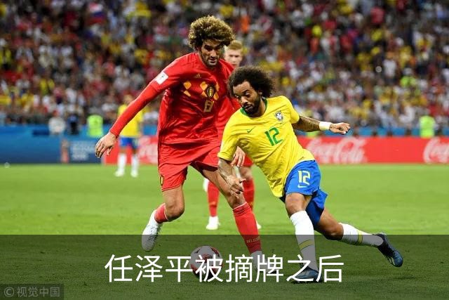 任泽平被摘牌之后