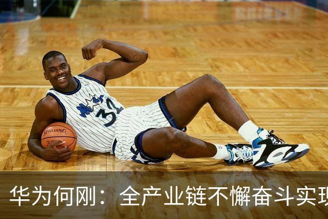 华为何刚：全产业链不懈奋斗实现Mate 60麒麟芯片回归，9030系列是半导体平面电路设计巅峰之作
