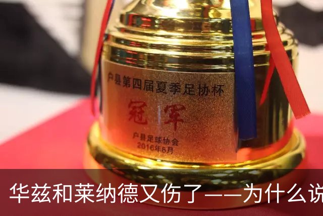 华兹和莱纳德又伤了——为什么说又？