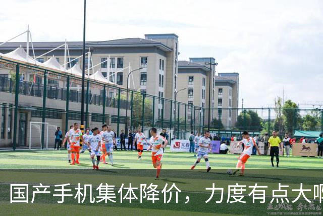 国产手机集体降价，力度有点大啊！