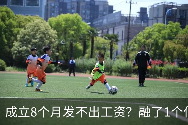 成立8个月发不出工资？融了1个亿的机器人公司，把行业遮羞布掀了