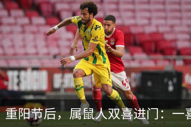 重阳节后，属鼠人双喜进门：一喜解心结，二喜遇贵人
