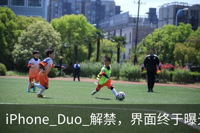 iPhone Duo 解禁，界面终于曝光